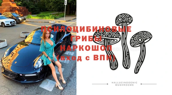 соль ск Алексин