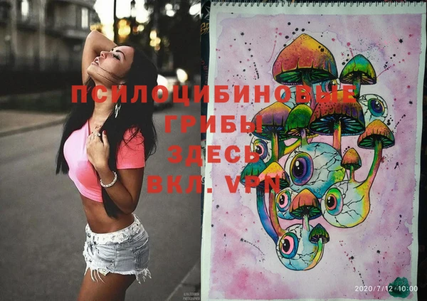 стафф Алексеевка
